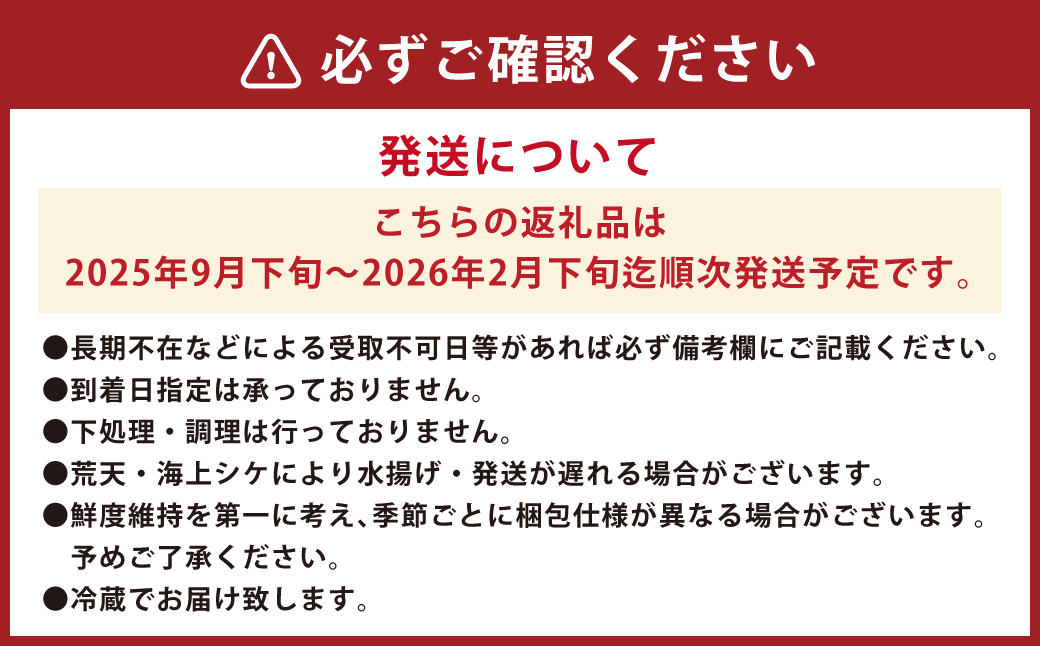長崎近海 活き〆天然寒ぶり8kg台 (8.2kg?8.8kg) 丸ごと1本