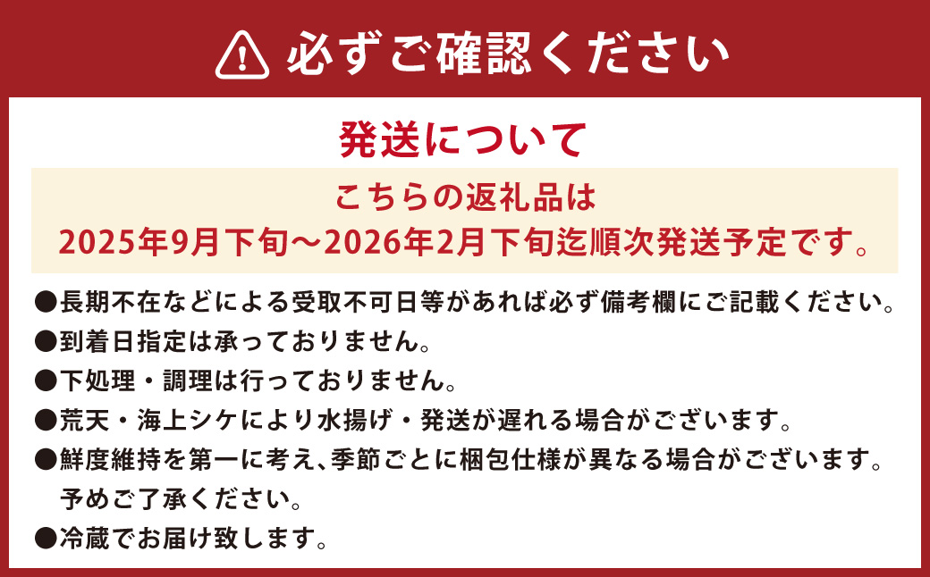 丸ごと1本！長崎近海 活き〆天然寒ヒラス (ヒラマサ) 5kg台