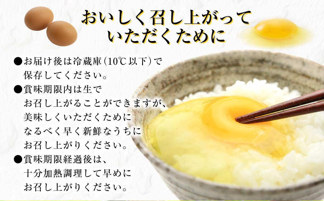 「長崎彩黄卵」 朝採れ玉子 30個入り