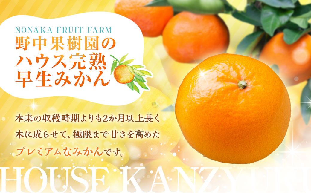 先行予約 ハウス完熟早生みかん お試し 約2.5kg箱