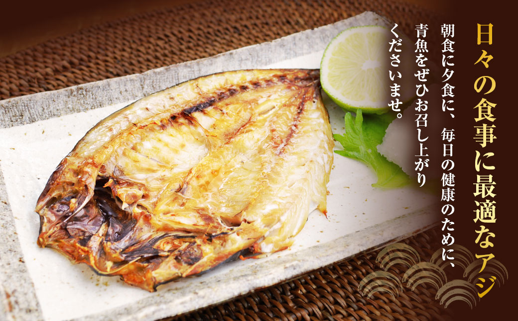 【全12回定期便】長崎産 真アジ一夜干し たっぷり21尾