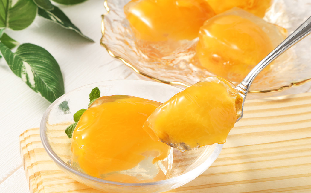 茂木ビワゼリー10個