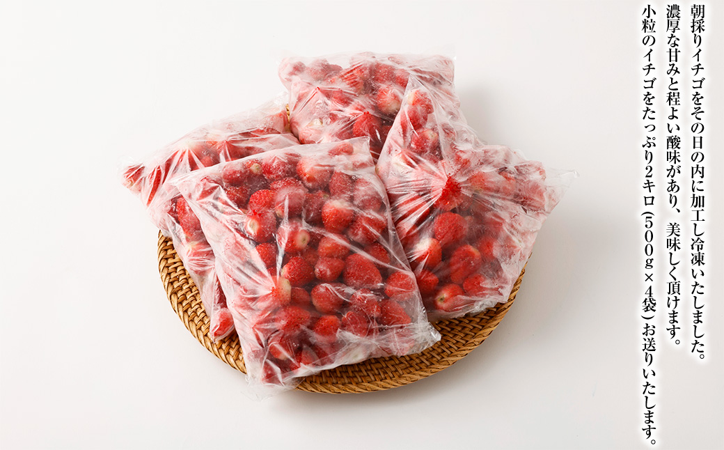 長崎県産 冷凍 イチゴ ゆめの香 たっぷり2キロ ( 500g×4袋 )