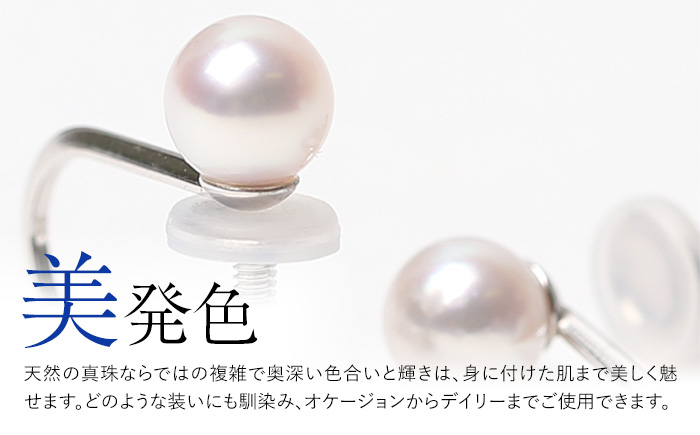 【7営業日以内に発送】あこや真珠 5.0-5.5mm 保証書付 イヤリング K14WG ベビーパール ／ アコヤ真珠 真珠 アクセサリー ジュエリー 長崎県 長崎市