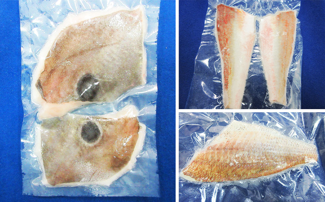 長崎お魚切り身セット1