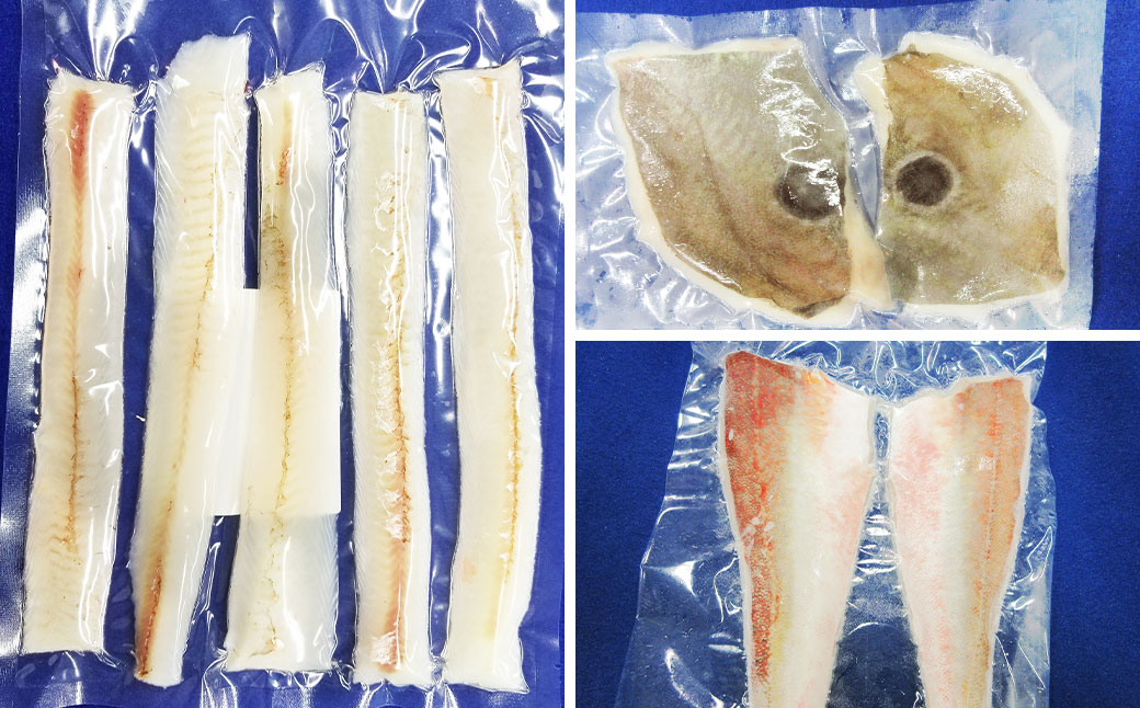 長崎お魚切り身セット2