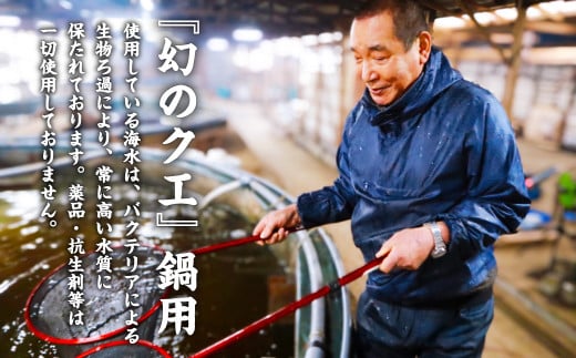 長崎の森で育てた『幻のクエ』 鍋用 5～6人前（1kg～2kg前後） くえ 海鮮 魚介類 魚 お魚