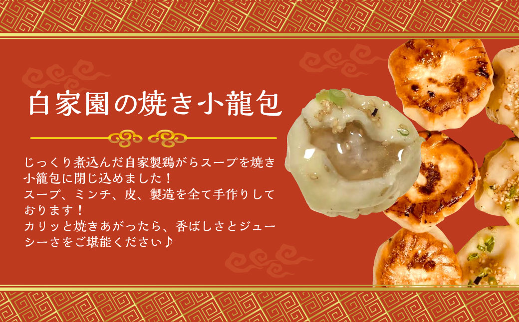 【全3回定期便】ぶたまん× 焼餃子×焼小籠包