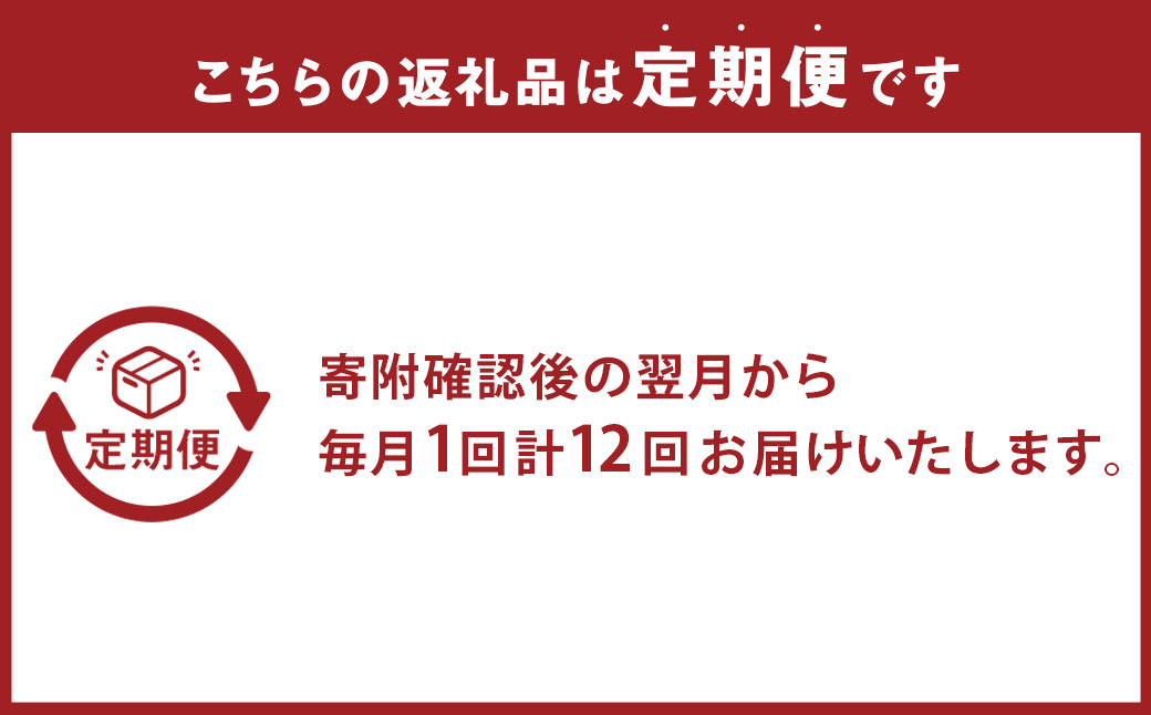 【全12回定期便】 おまかせ フラワーアレンジメント【S】