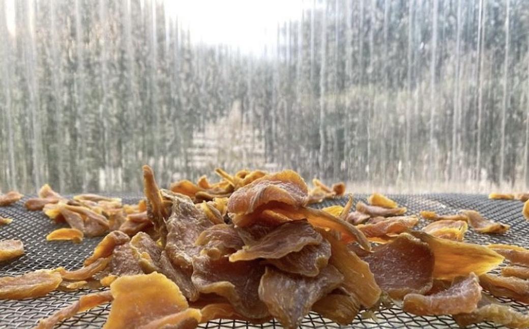 長崎かんころ餅 10本セット