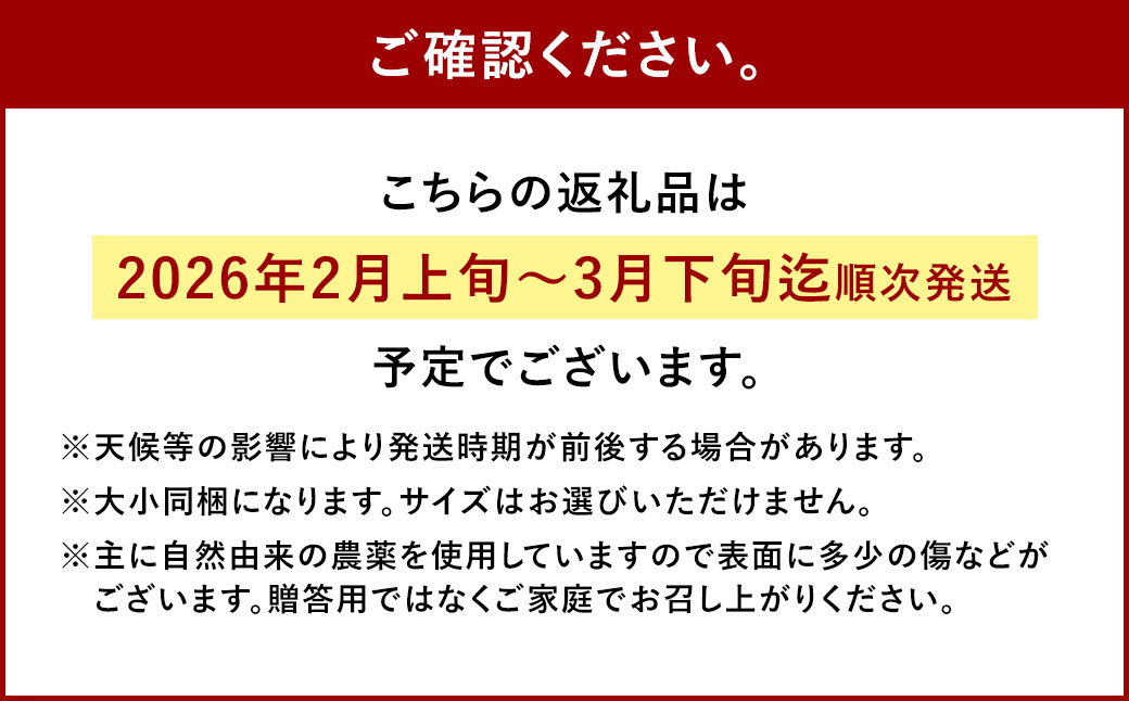今村温州みかん 計約5kg