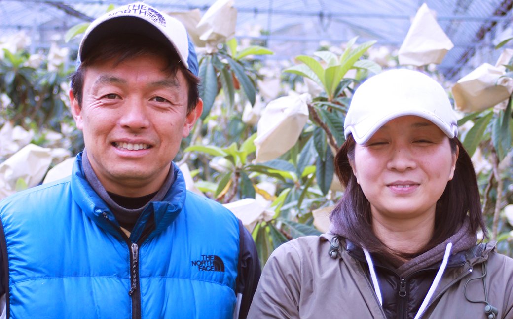 長崎びわ なつたより 赤秀 計約500g