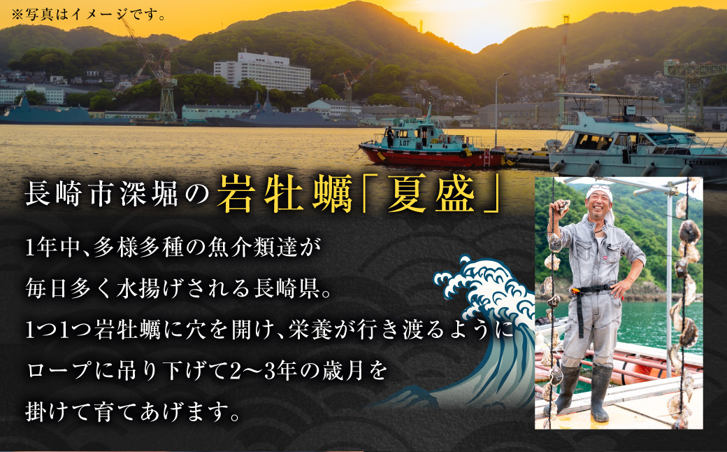 長崎市産 岩牡蠣 「夏盛」