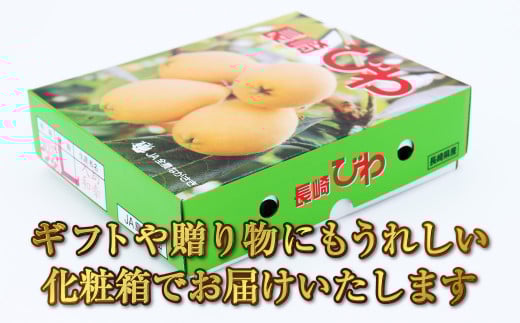 長崎 高級 ハウス びわ 化粧箱入り 500g 枇杷 ギフト 贈答用 果物 フルーツ くだもの 【2026年4月上旬から下旬発送予定】