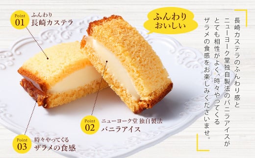 【全6回定期便】長崎カステラアイス (バニラ)