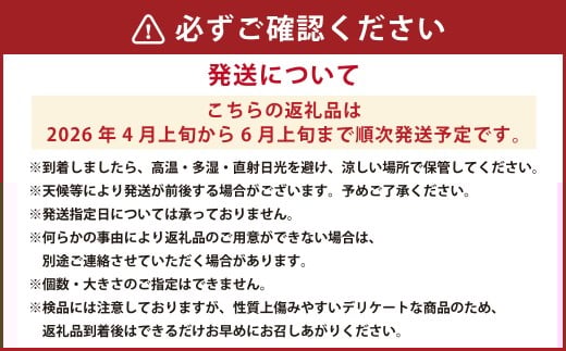 【樹上完熟】長崎みかん（ 甘夏みかん ）約5kg