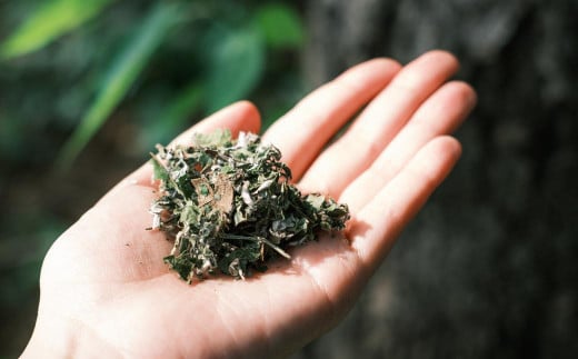 最高級 よもぎ蒸し ブレンドハーブ 3袋 セット