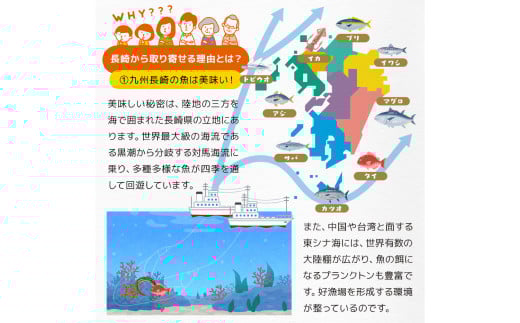 【全6回定期便】長崎加工 訳ありおまかせ干物とカラスミ詰め合わせ