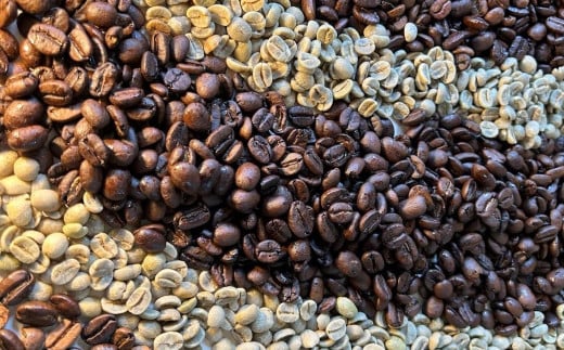 【全12回定期便】〈粉〉  自家焙煎珈琲 600g (200g×3袋)