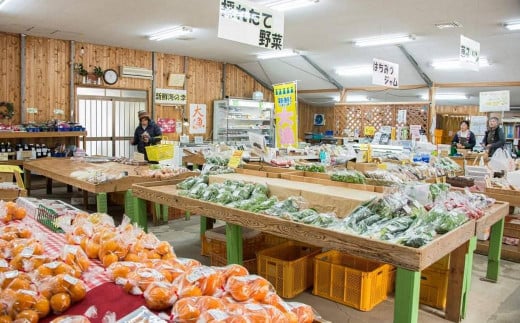 【全12回定期便】 農産物直売所おすすめ！ 旬野菜 セット