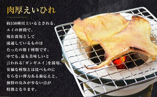 出島屋の肉厚えいひれ 3袋セット