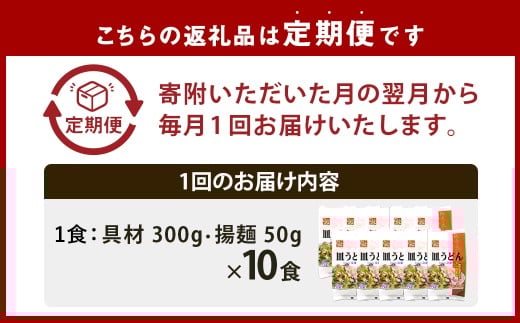 【全12回定期便】《具材付》長崎冷凍皿うどん