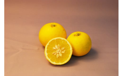 長崎柑橘ゆうこうハニー180ml×5本