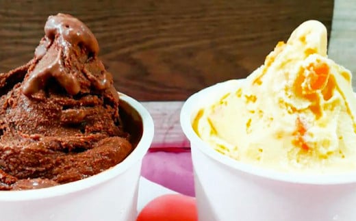 手作りアイス 8個セット