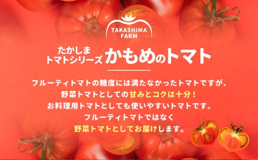 糖度6度以上 たかしまトマトシリーズ かもめのトマト 約3kg