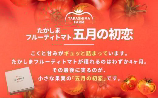 糖度9度以上 たかしまフルーティトマト 五月の初恋 約600g