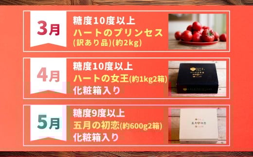 【年4回定期便】たかしまフルーティトマトの贅沢コース