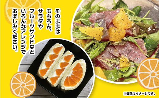 こだわり農家の秀品不知火 18玉