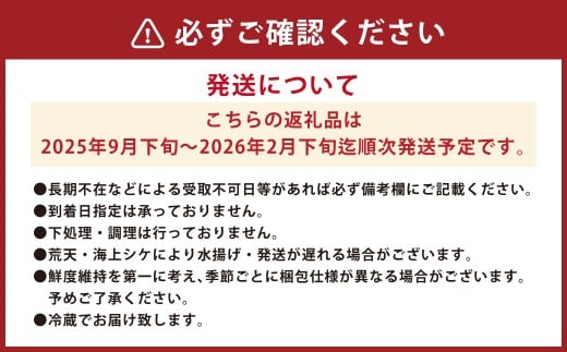 長崎近海 活き〆天然寒ぶり5kg台（5.2kg?5.8kg）丸ごと1本