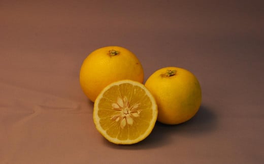 龍の泪 (極ゆうこう) 150ml×5本