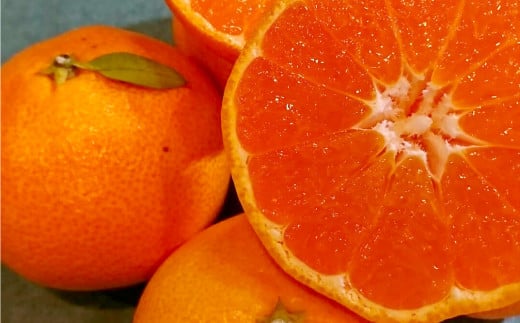 訳あり 晩生完熟みかん10kg ( ご自宅用 )