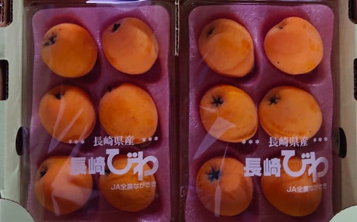 長崎特産 露地びわ「茂木びわ」12個