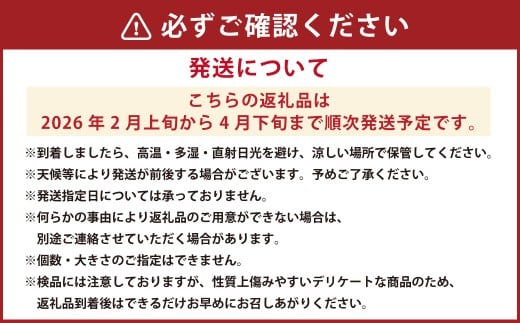 【樹上完熟】長崎みかん（ 不知火 ）約5kg