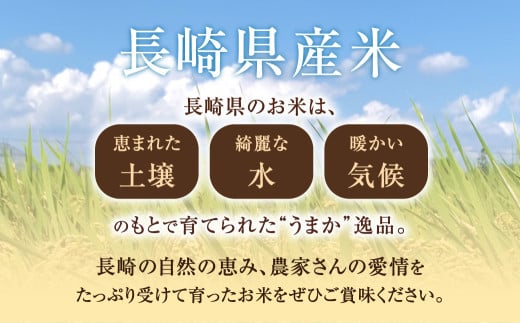 【令和6年産】無洗米 長崎 こしひかり 計10kg（5kg×2袋）
