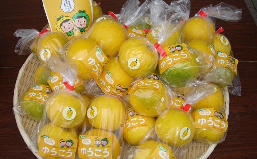 生搾りゆうこう果汁100％