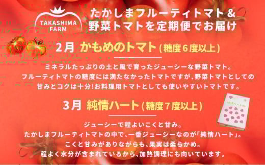 【年2回定期便】たかしまフルーティトマト＆野菜トマトのお手軽コース