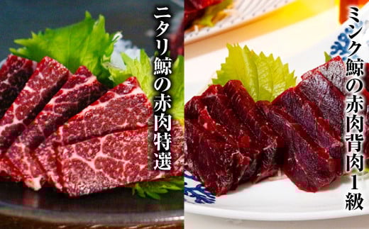 くじら 赤肉4種詰め合わせ
