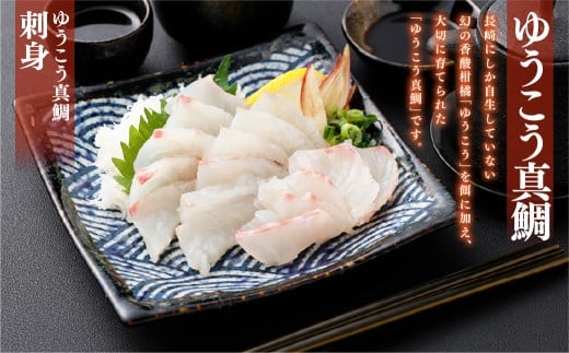 【premiumfishbrand】ゆうこう真鯛（活〆）×1尾（約1.5kg）