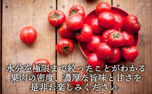 【数量限定 先行予約】たかしまフルーティトマト 「情熱ハート」 1kg箱×1