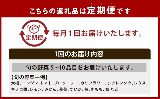 【全6回定期便】旬野菜 セット 5～10品目
