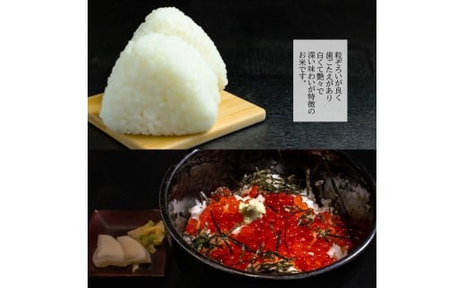 【令和7年産】無洗米 長崎 つや姫 900g