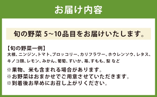 直売所おすすめ！旬野菜セット 5～10品目