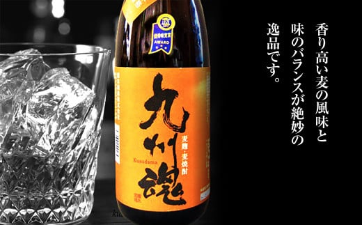 長崎 特選焼酎セット