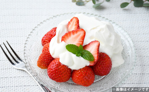 長崎産 ゆめのか イチゴ（250g×4パック）