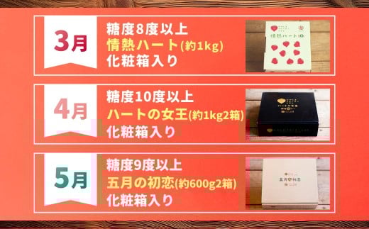 【年4回定期便】たかしまフルーティトマトの小箱コース