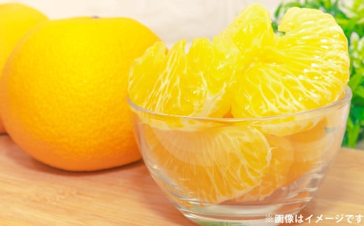 八朔（はっさく） 約5kg